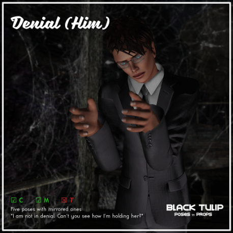 [Black Tulip] Poses - Denial (Him)