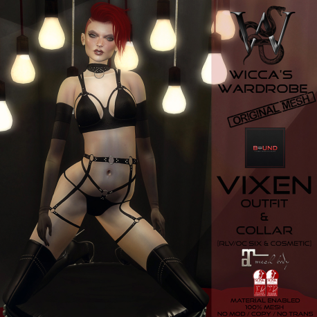 Wicca's Wardrobe - Vixen Outfit & Collar 1024