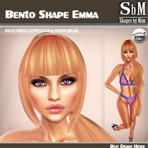 Emma Shape Bento Vendor 512x512 psd